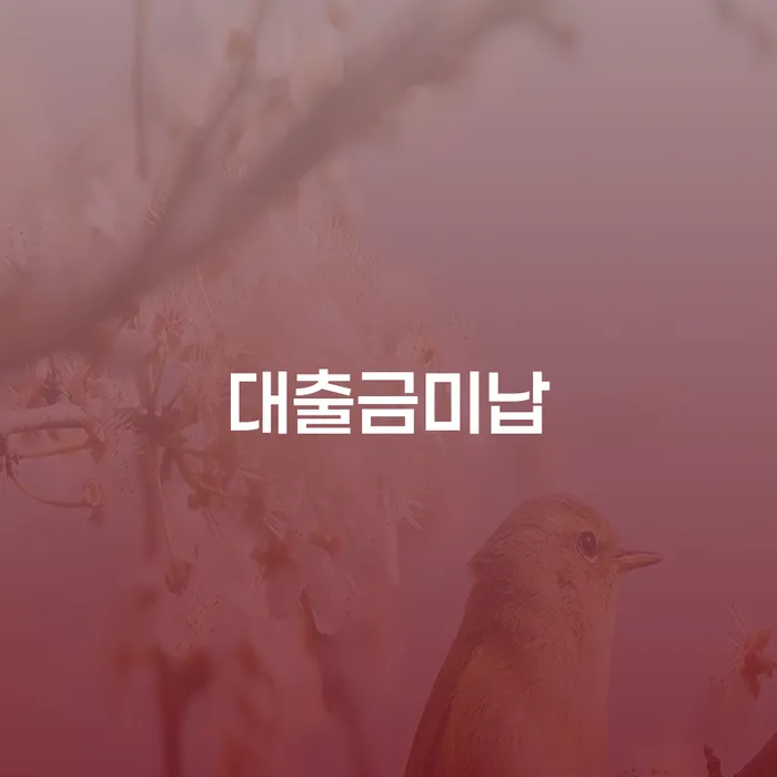 개인회생법무법인 개인회생으로 해결 위험감소