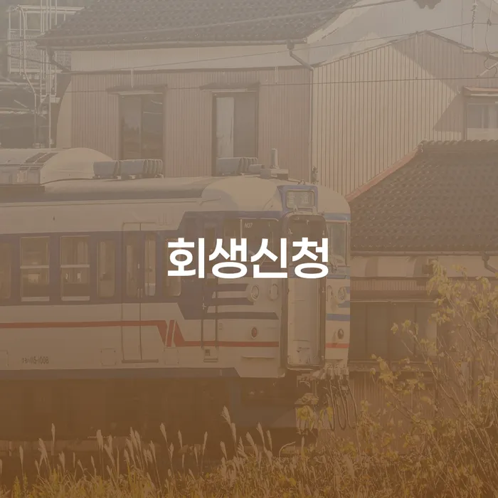 화순군 채무자회생및파산에관한법률 신용회복 체크해보세요